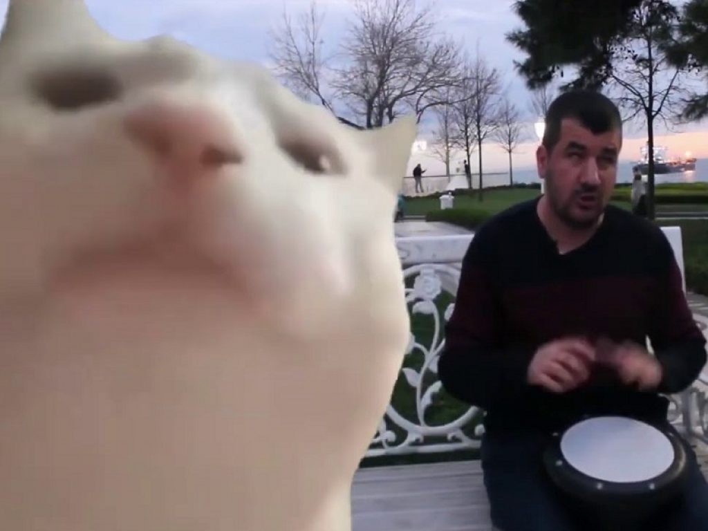 Anche il gatto che balla la Polkka nel meme definitivo