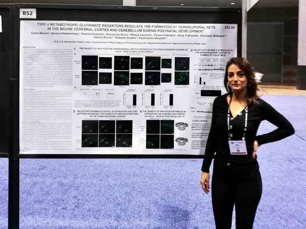 Nuovo studio sullo sviluppo delle reti perineuronali