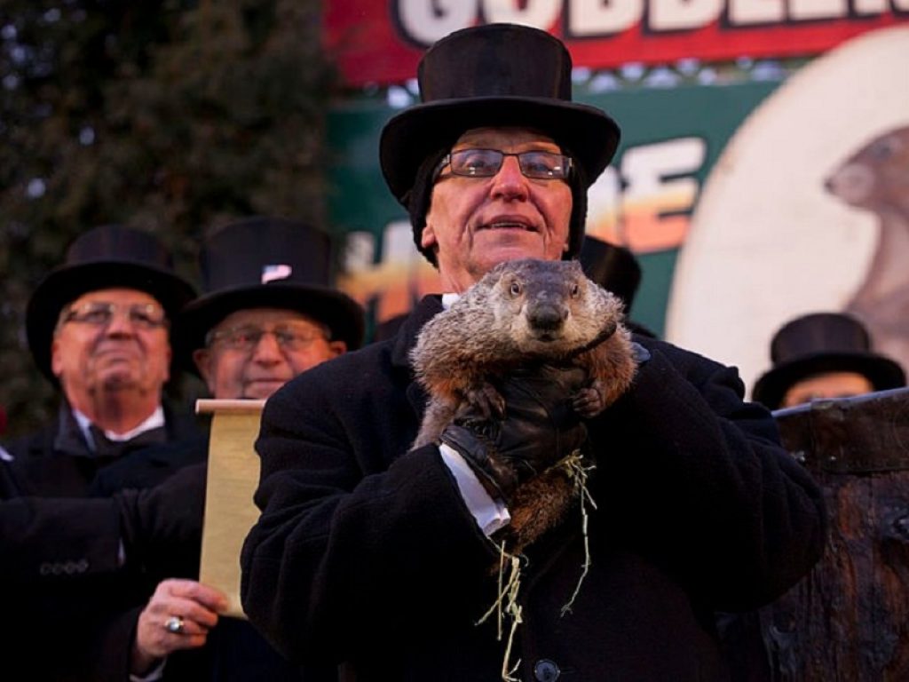 È il “Giorno della marmotta”: quanto durerà ancora l’inverno? Negli Stati Uniti attesa per cosa farà Phil, la prima volta  di questa tradizione risale al 2 febbraio 1887