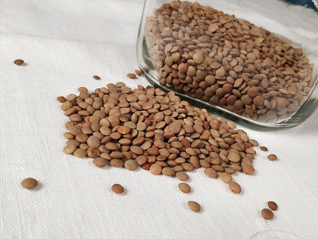 Lenticchie gustose e sane da mangiare non solo a Capodanno: contengono una buona fonte di proteine, ferro, acido folico e fibre