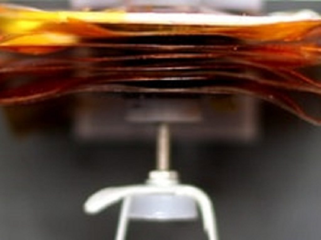 Dal mantice della fisarmonica l’ispirazione per un nuovo tipo di muscolo artificiale che si allunga e si contrae grazie a forze di attrazione elettrostatica