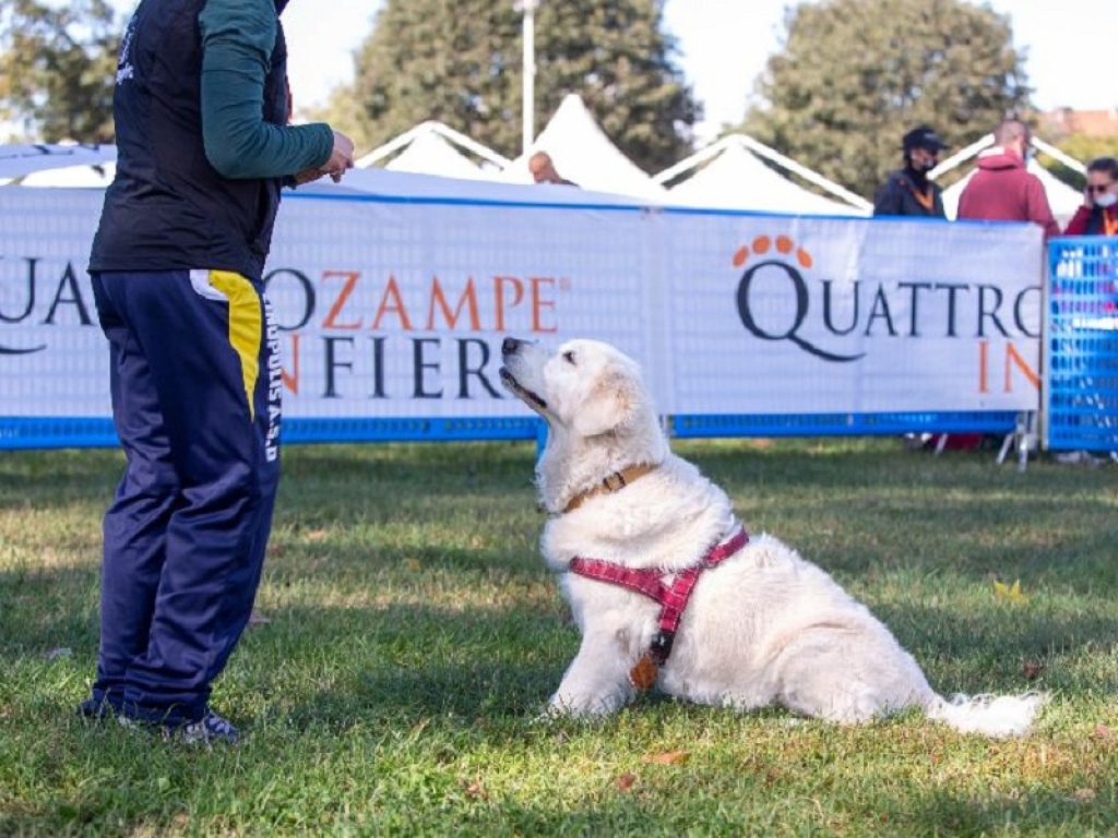 Sta per partire l'edizione 2021 di Quattrozampeinfiera