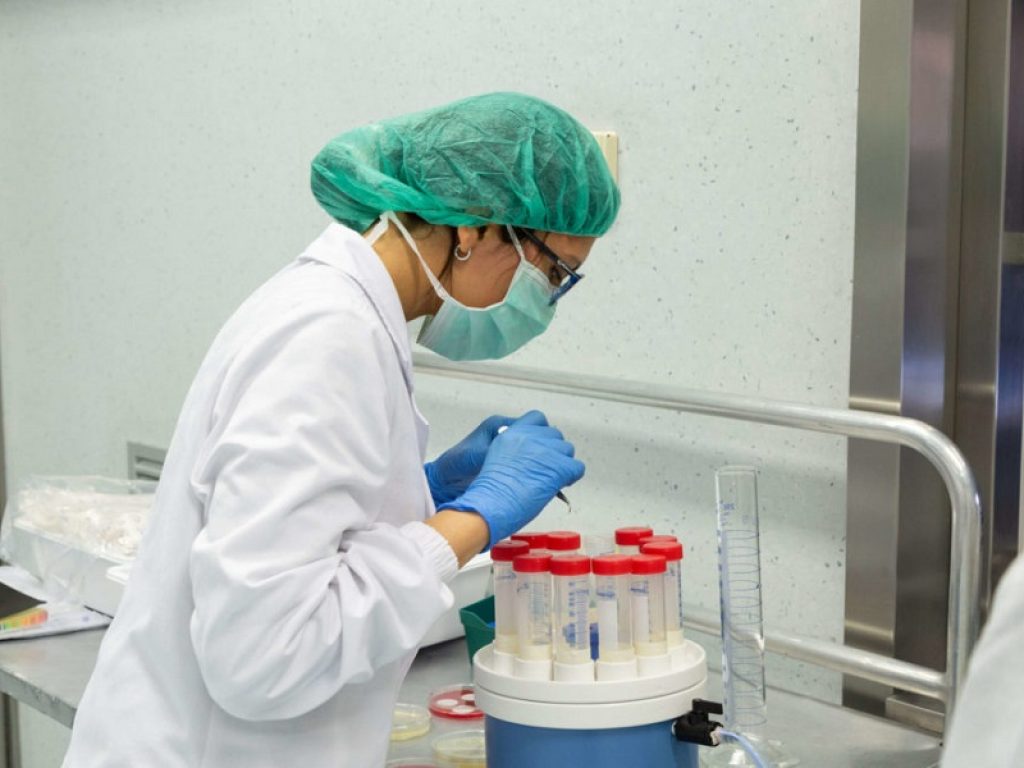 Covid: anticorpi dei guariti bloccano la variante inglese