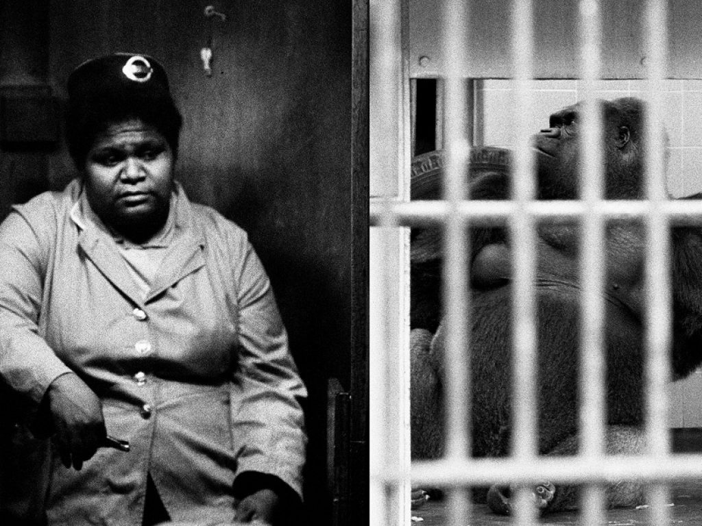 "From London to free Derry": in mostra gli scatti di Butturini