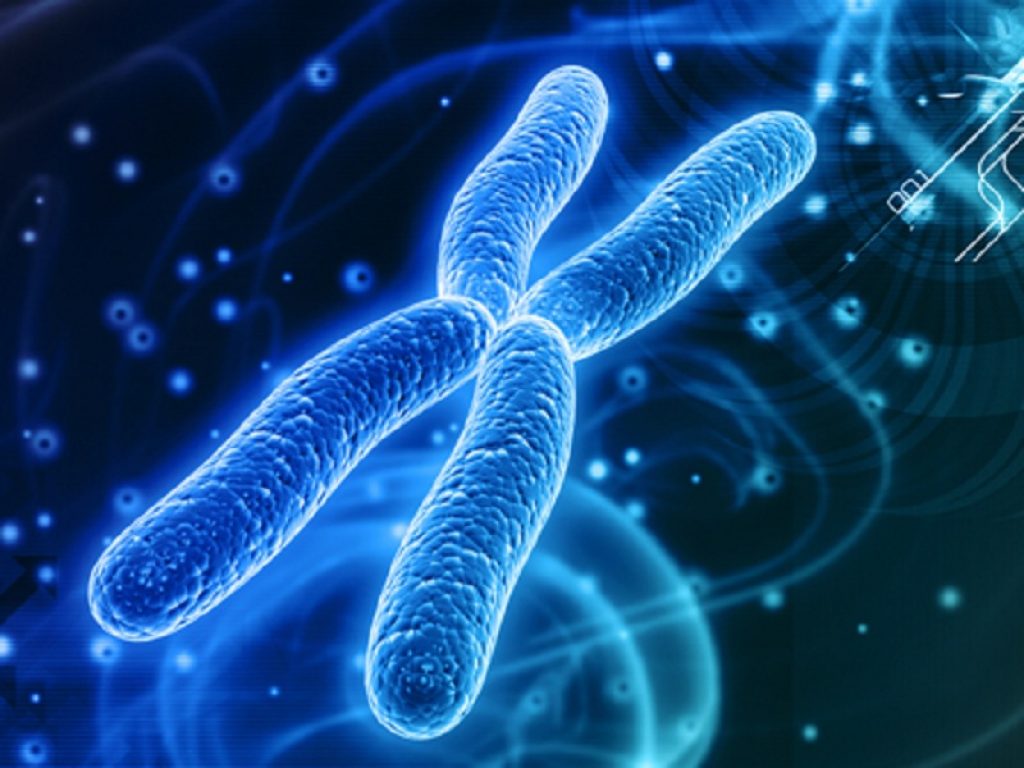 Emofilia B: terapia genica non causa il cancro al fegato