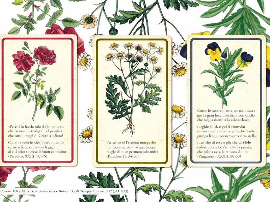 Divina Commedia di Dante Alighieri, le piante officinali