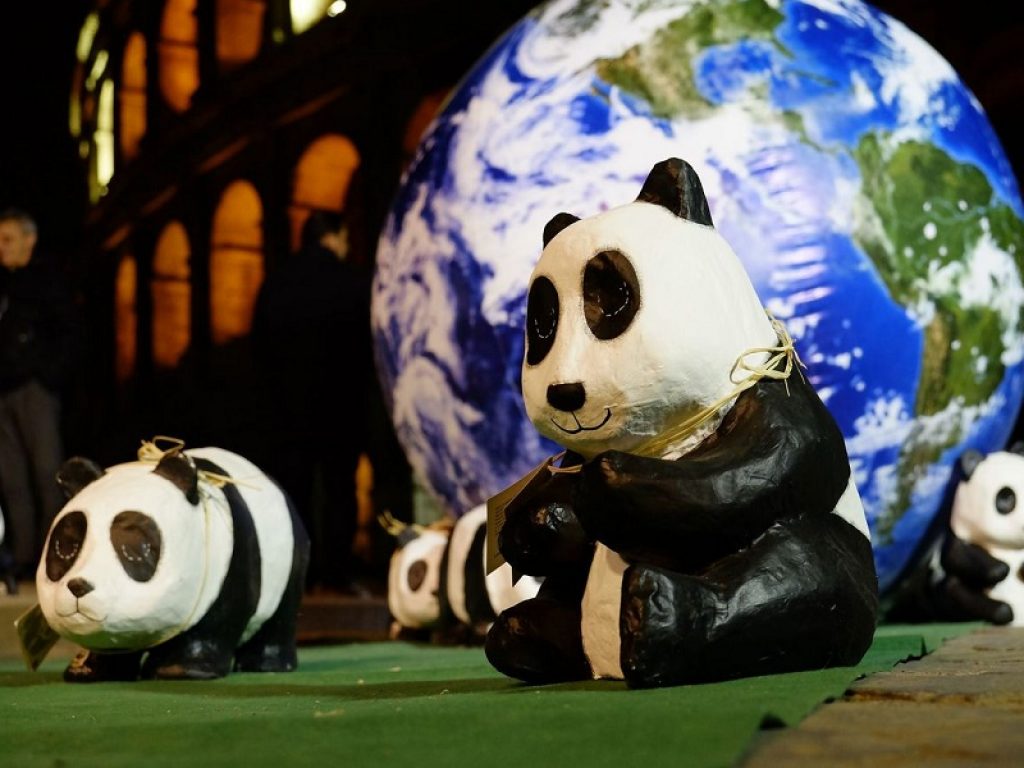 Earth Hour WWF, ora della Terra