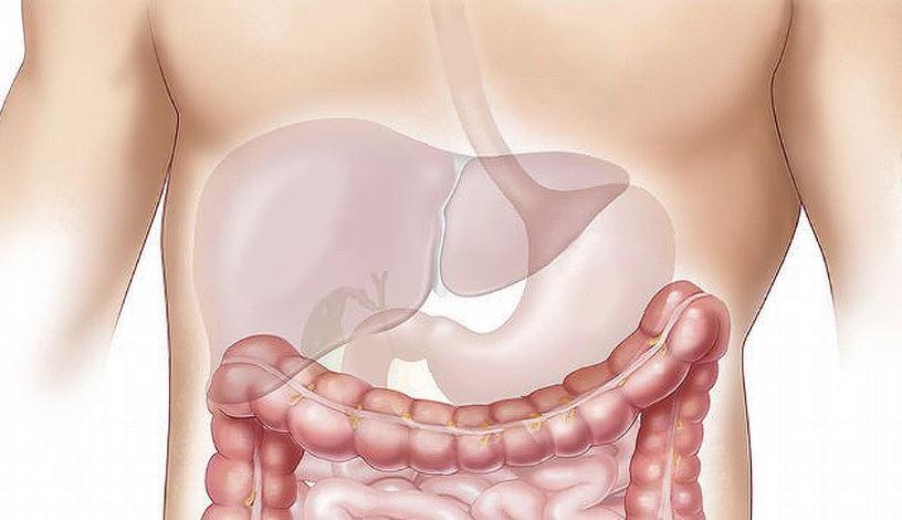 Bianco, bruno e beige: il grasso che fa bene e male