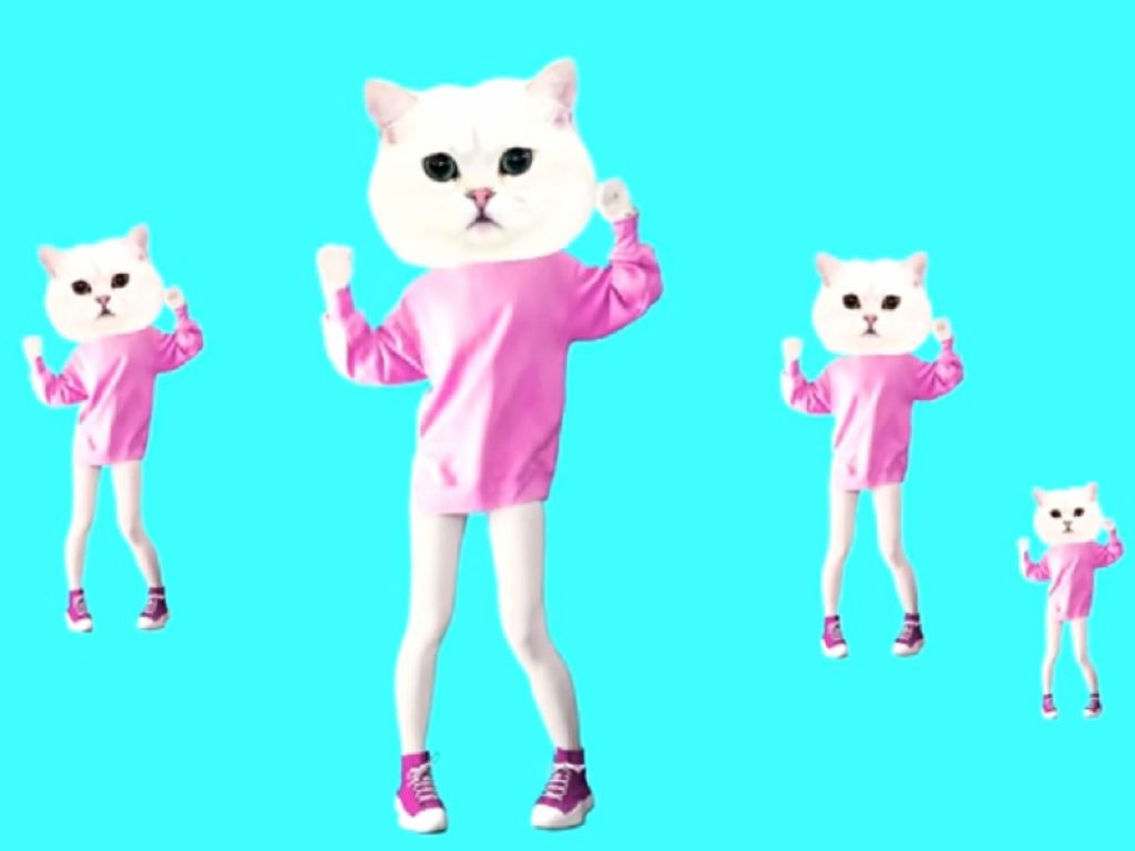 "I let you by the river", la canzone dei gattini, è il riadattamento in chiave dance di Ievan Polkka, un canto popolare finlandese degli anni ‘30. Il videoclip spopola su Tik Tok