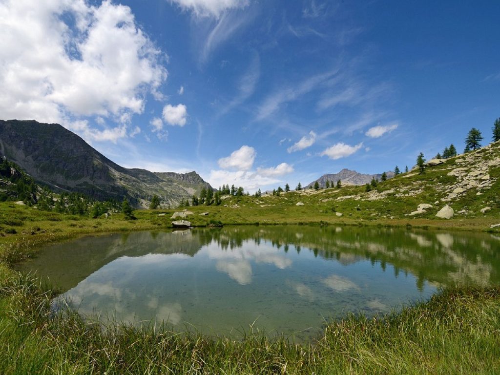 Lago di montagna pesci alloctoni