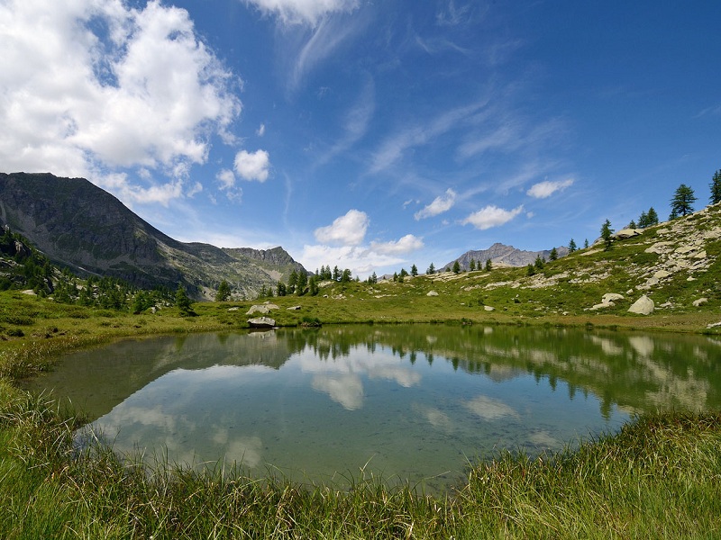 Lago di montagna pesci alloctoni