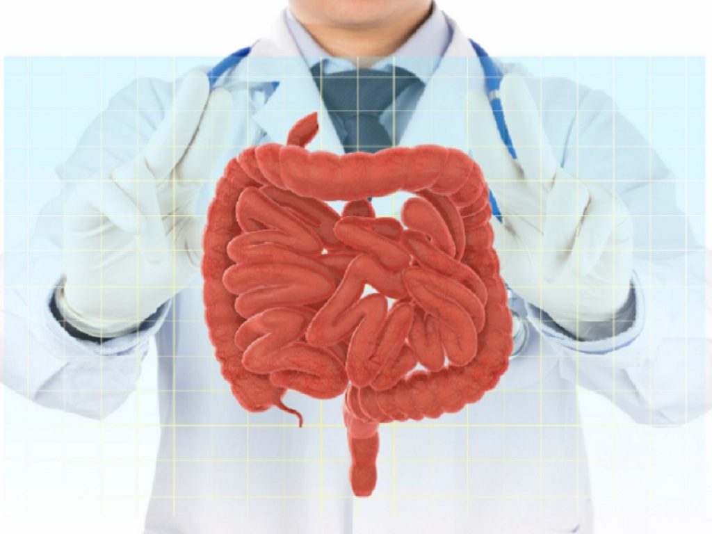 Intestino corto: una malattia rara e poco conosciuta