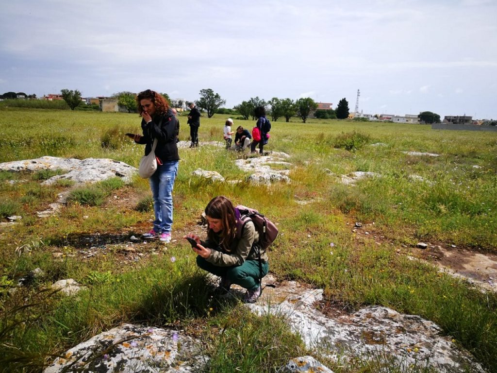 La pandemia Covid non ferma i cittadini scienziati: dal 30 aprile a 3 maggio torna la City Nature Challenge, il censimento della biodiversità urbana