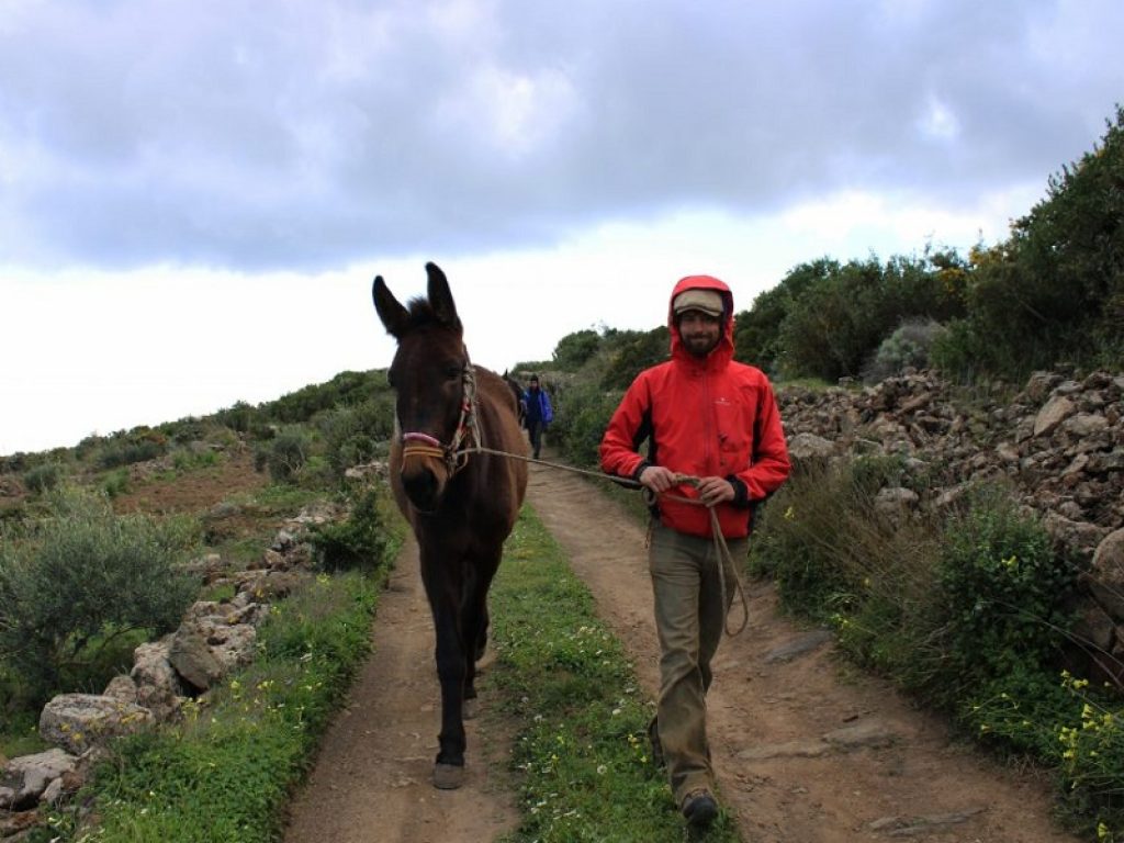 Woodvivors: da Pantelleria al Piemonte a passo di mulo