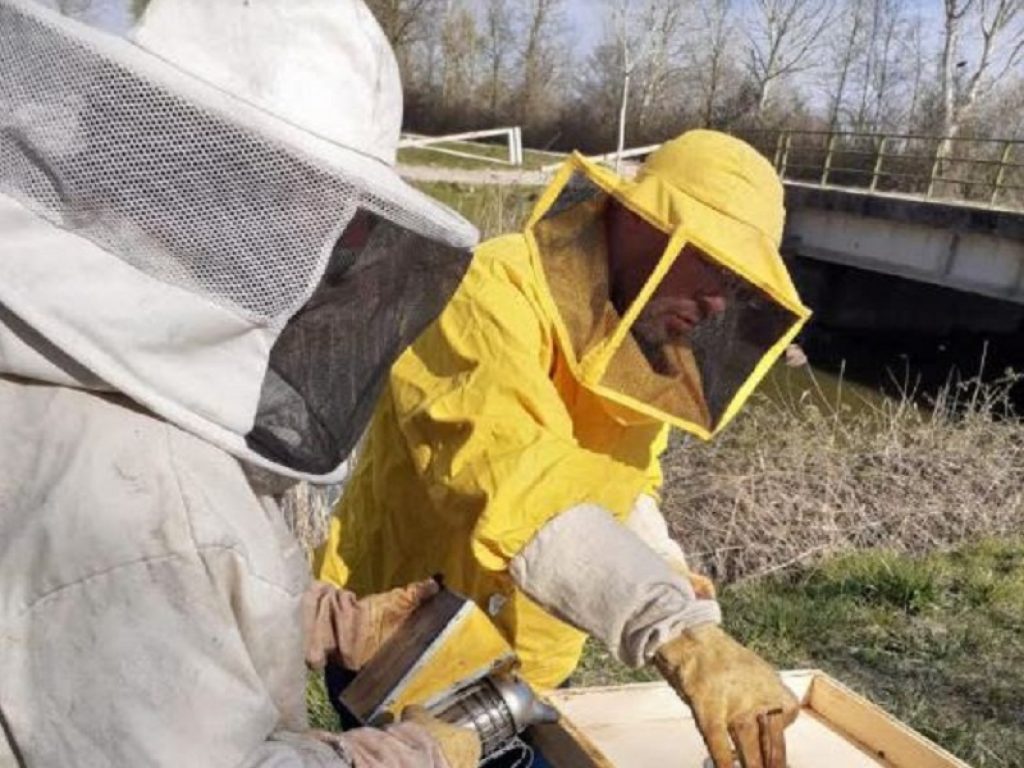 Apicoltura arnie elettroniche