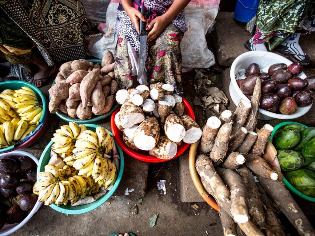 I sistemi alimentari provocano l'80% di perdita di biodiversità: il WWF lancia la campagna Food4Future alla vigilia della Giornata Mondiale della Terra