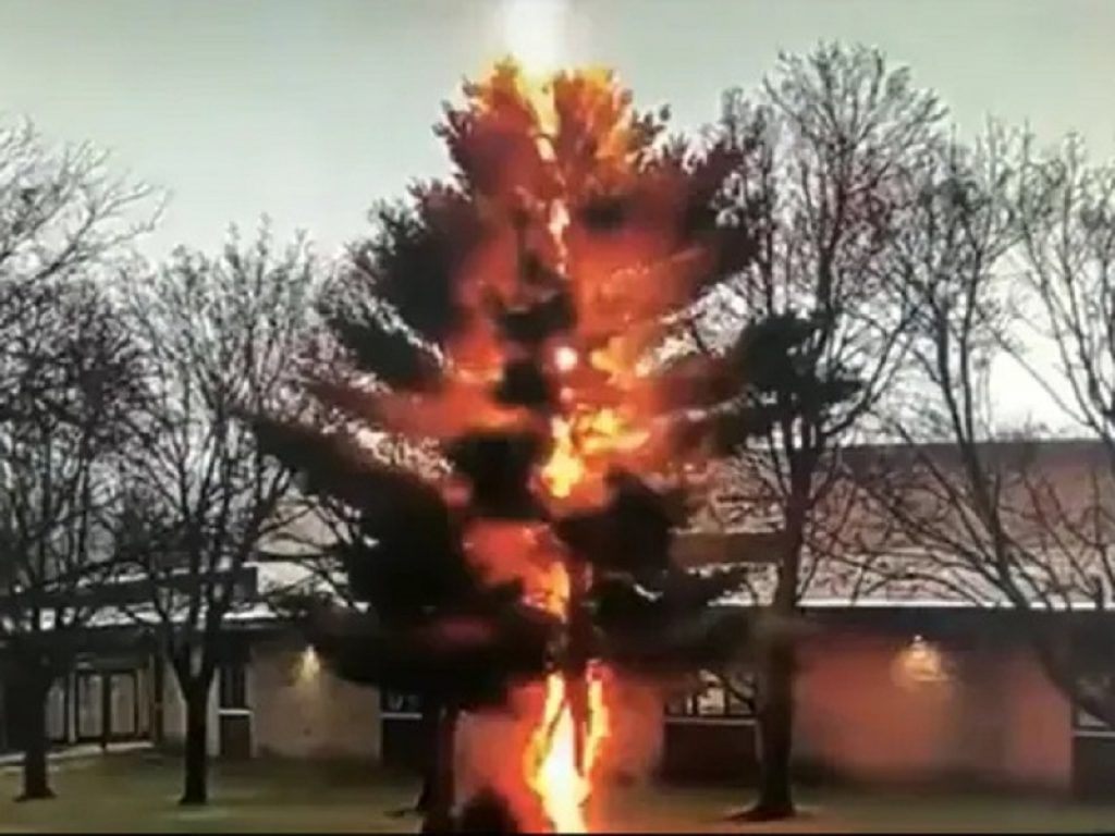 Video fulmine distrugge albero