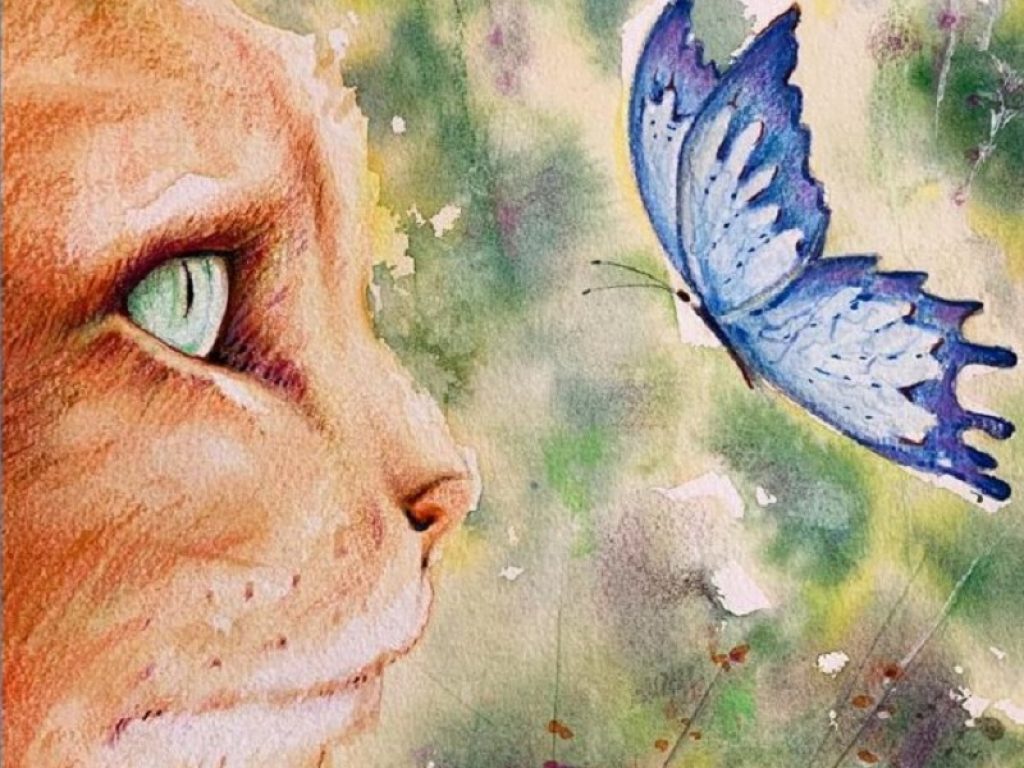 La costellazione del gatto copertina, libri