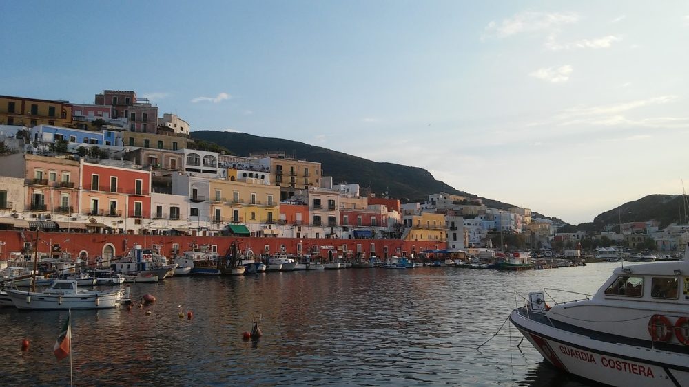 Isola di Ponza, balena grigia