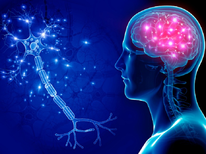 Sclerosi multipla, lipossine diroximel fumarato