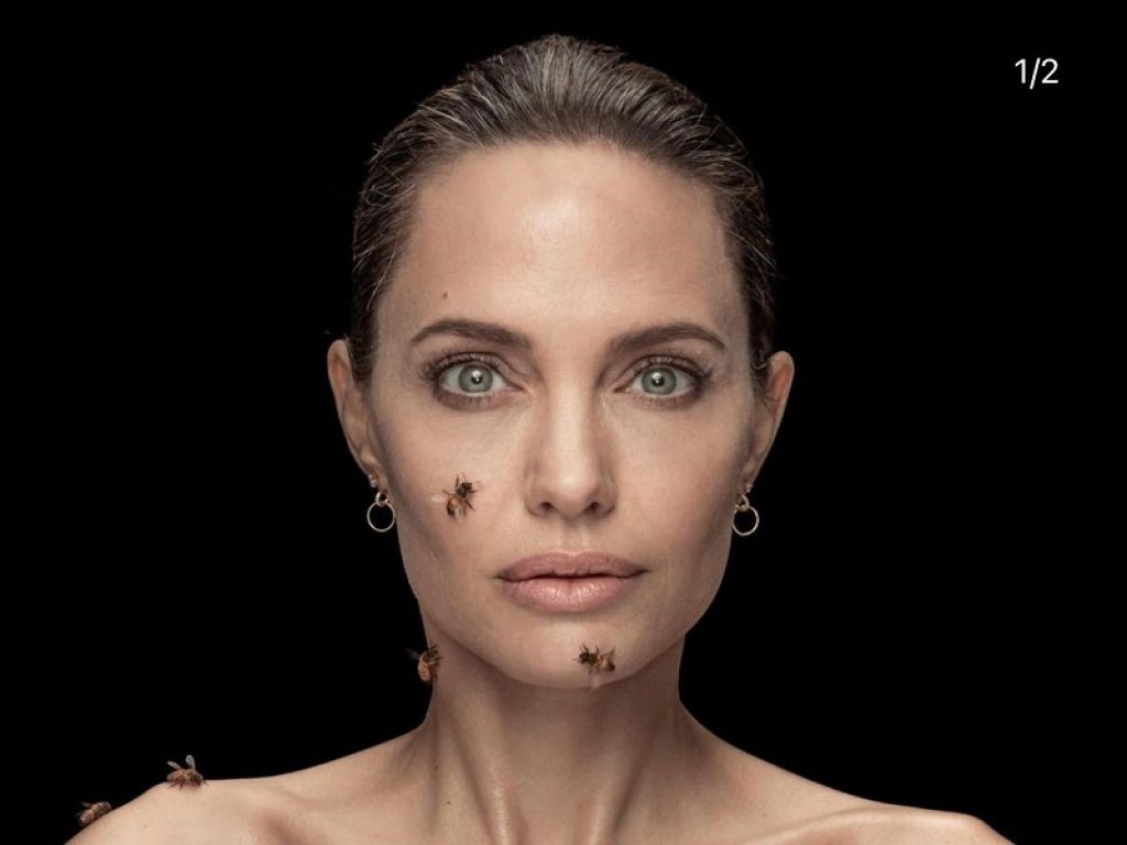 Angelina Jolie ricoperta di api per 18 minuti nel video Instagram del National Geographic per sensibilizzare sull'importanza di questi impollinatori
