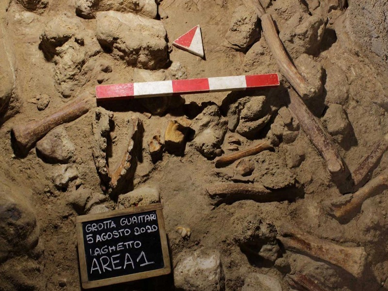 Resti neanderthal grotta guattari circeo