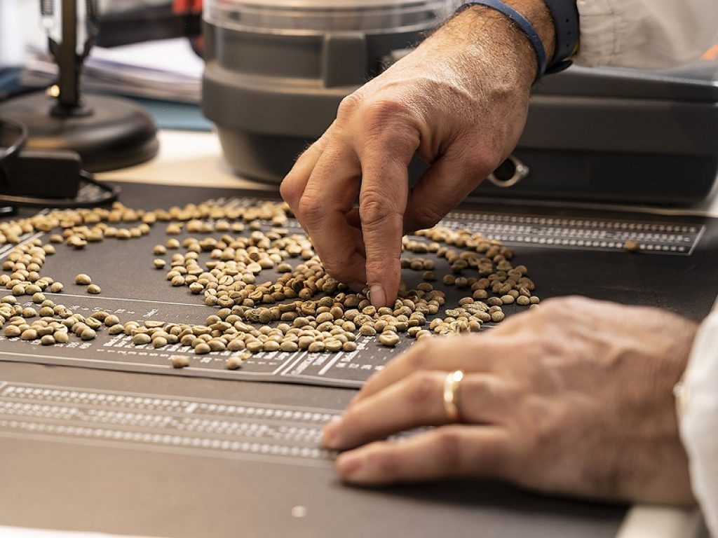 Caffè Borbone aumenta fatturato e dipendenti