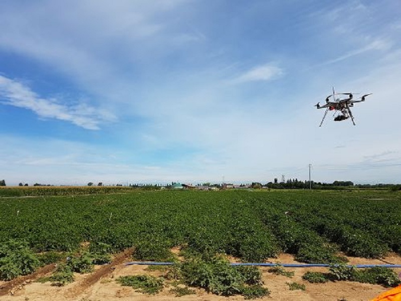 Agricoltura: irrigazione ottimale con il progetto DATI