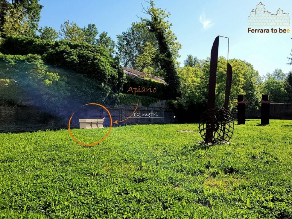 Arnie api Palazzo Schifanoia a Ferrara