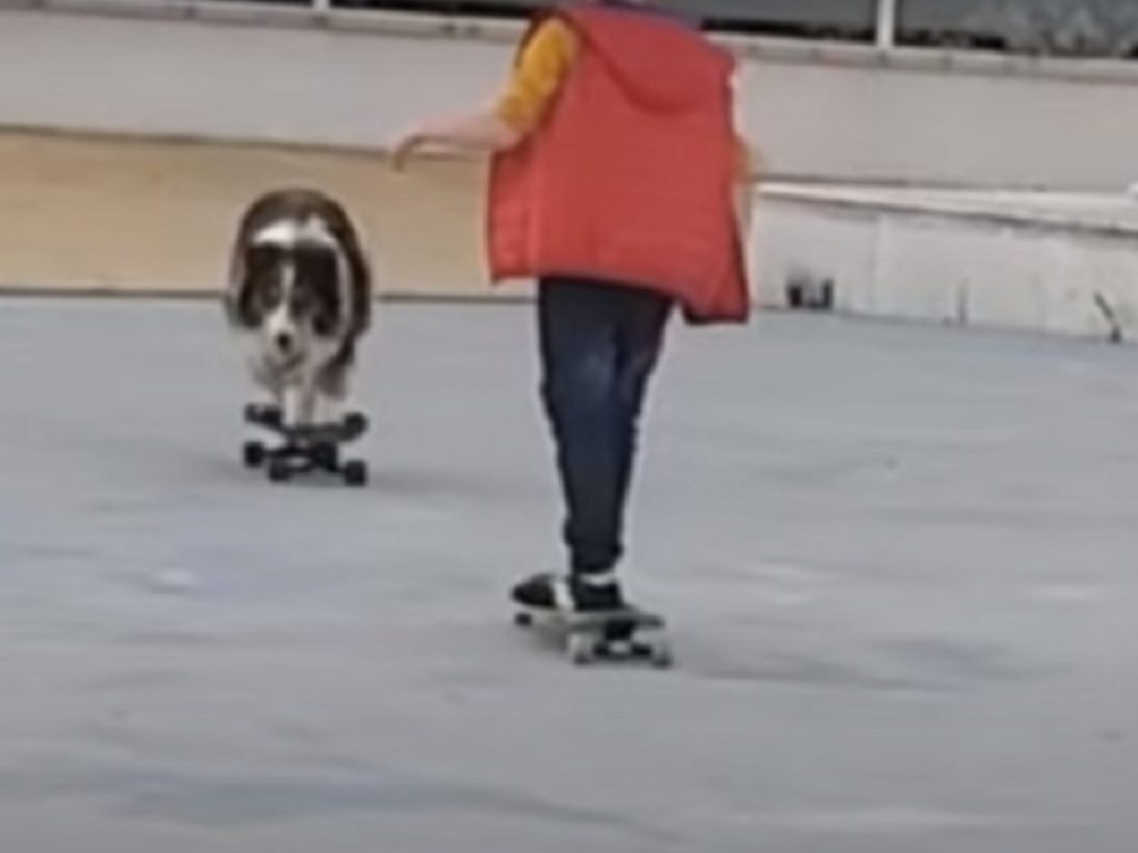Cane skateboard