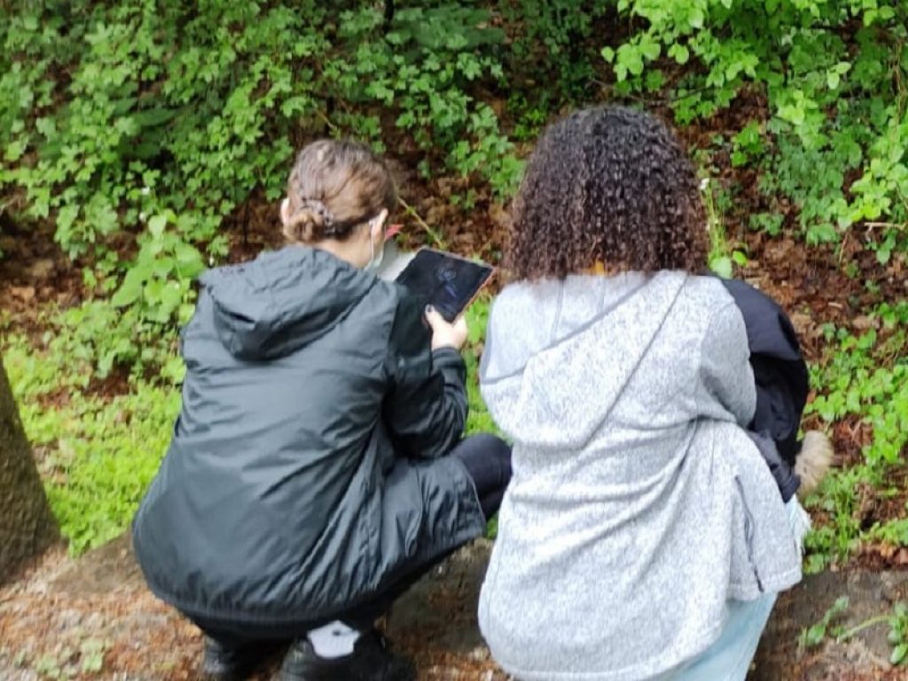 City Nature Challenge: milioni di foto dei cittadini scienziati