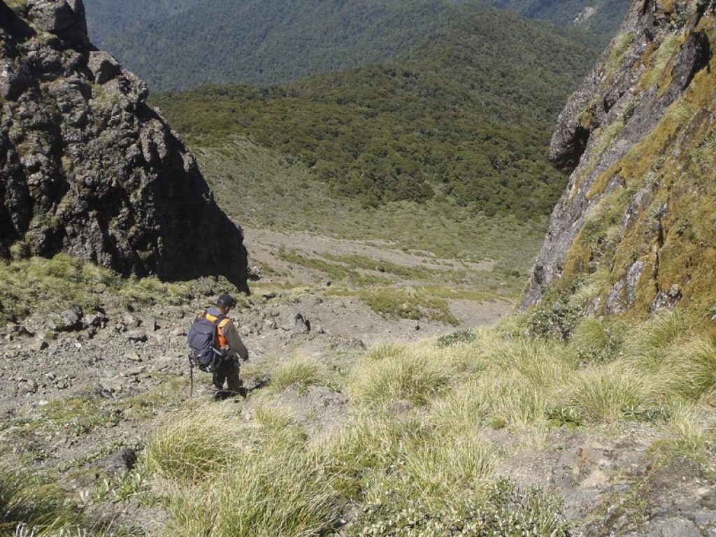 Hikurangi nuova zelanda faglia