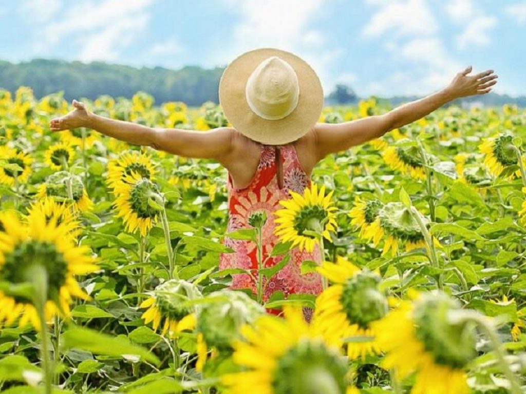 L'aumento della disponibilità cerebrale di serotonina porta buonumore, riduce l'ansia e l'aggressività e allevia il mal di testa: ecco come agisce