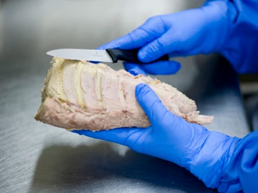 Lavorazione tonno in scatola