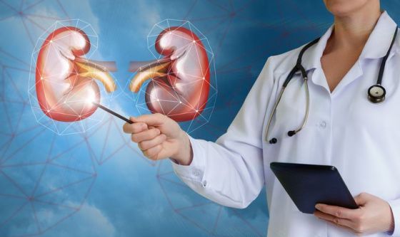 Malattia renale cronica pazienti settici finerenone roxadustat scheda nefrologica