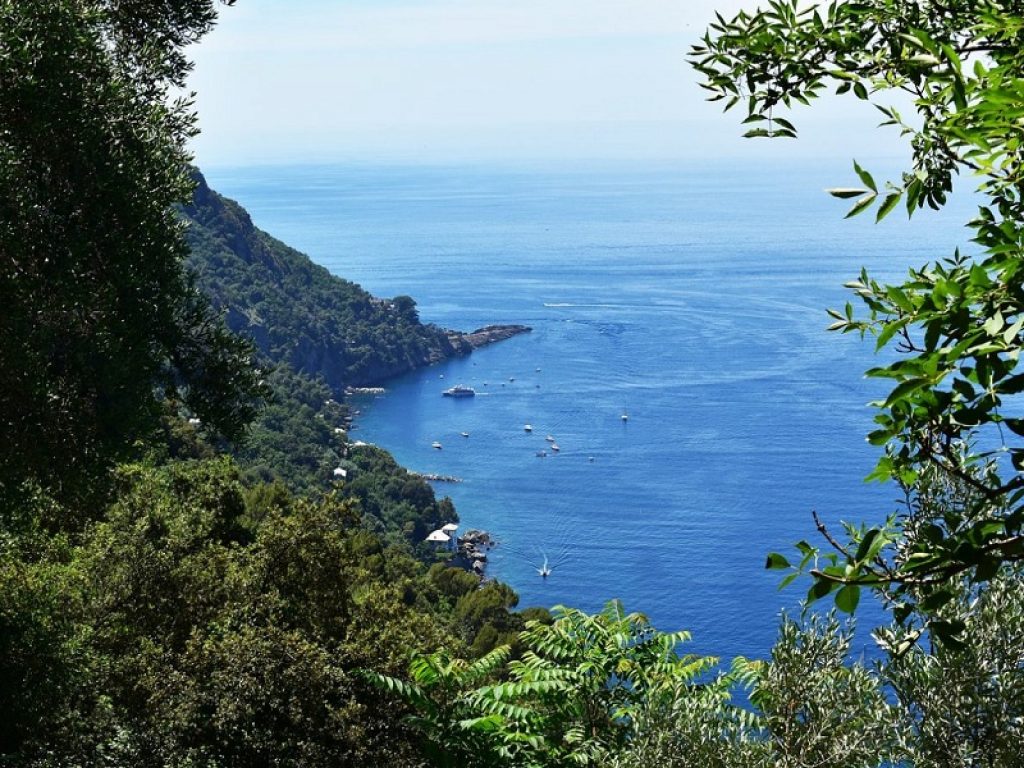 Mare Liguria bandiere blu