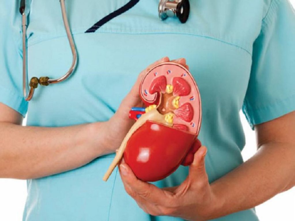 Nefrite lupica attiva: la Commissione europea ha approvato l'uso esteso di belimumab per via endovenosa e sottocutanea in combinazione con terapie immunosoppressive di base