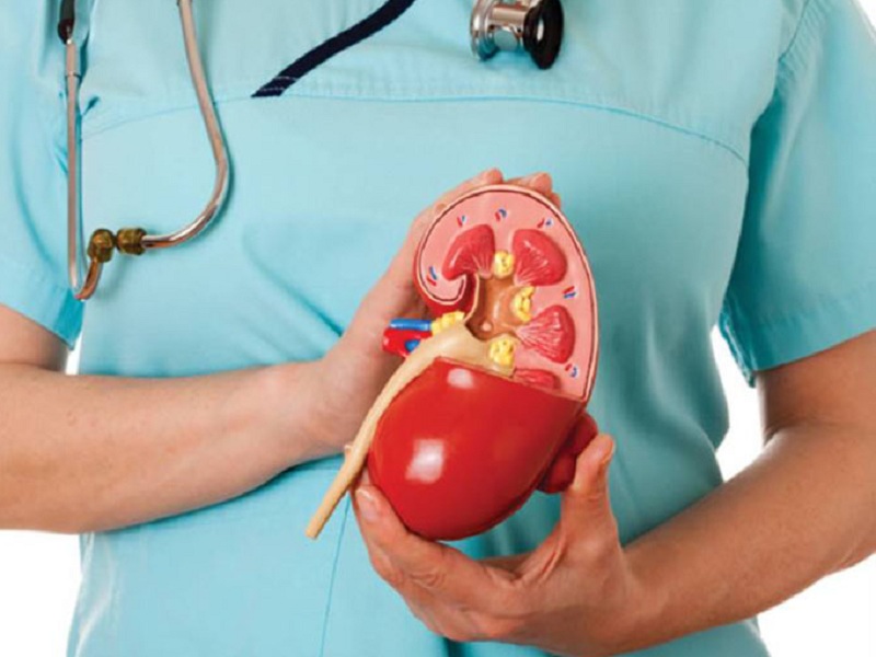 Nefrite lupica attiva: la Commissione europea ha approvato l'uso esteso di belimumab per via endovenosa e sottocutanea in combinazione con terapie immunosoppressive di base