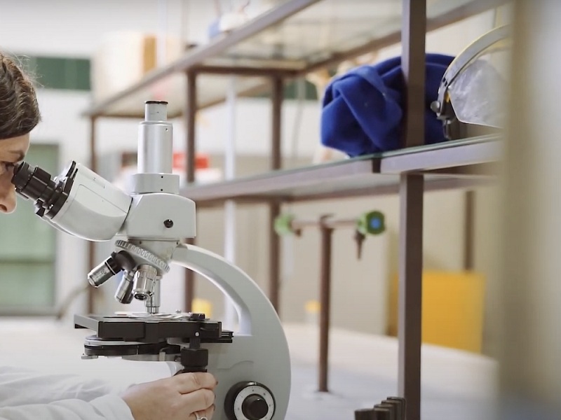 “Indagine sui ricercatori italiani all’estero” al via grazie all'accordo tra l'Istituto di ricerche sulla popolazione e le politiche sociali (Cnr-Irpps) e il Maeci