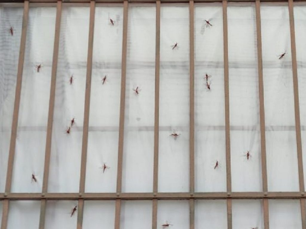 Spazio Thetis ospita P-UNTRICI di Resi Girardello