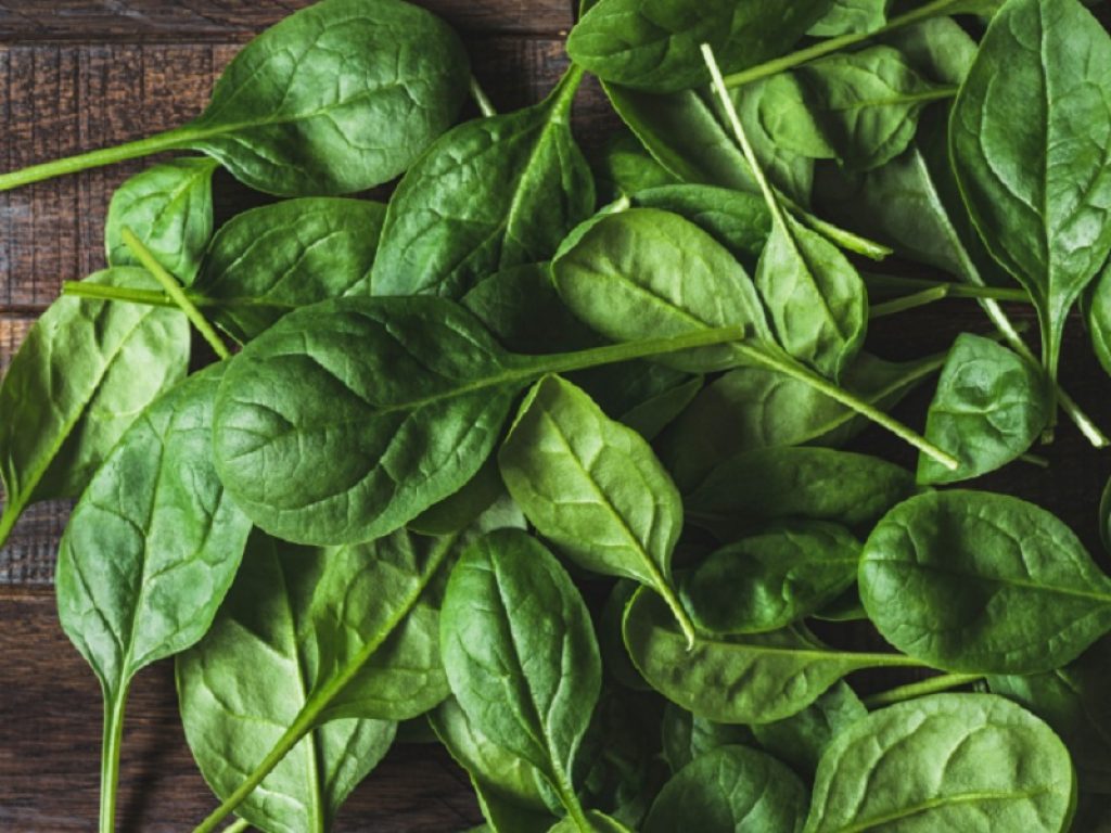 Il consumo di spinaci sarebbe inversamente proporzionale al rischio di steatosi epatica non alcolica secondo i risulati di un nuovo studio