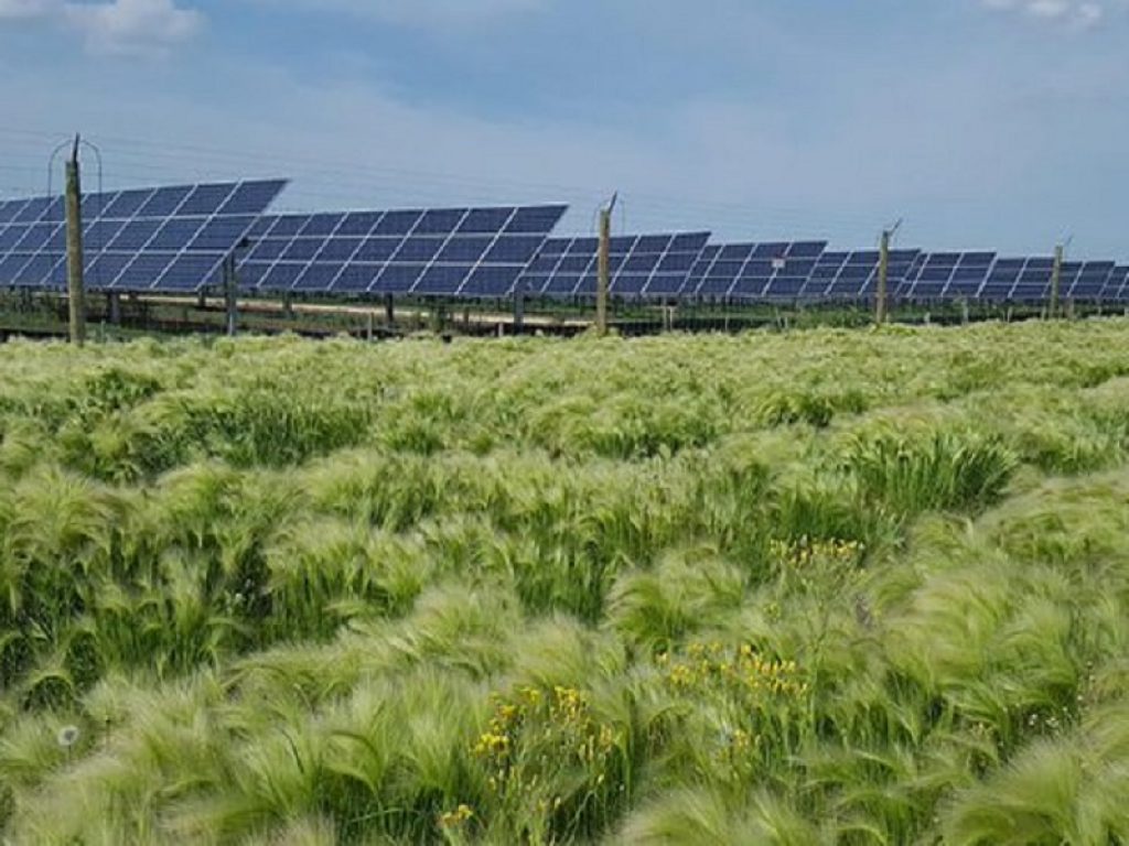 Accordo con Enel Green Power: al Centro ricerche ENEA di Portici verrà realizzato un progetto che integra tecnologia solare e coltura di microalghe