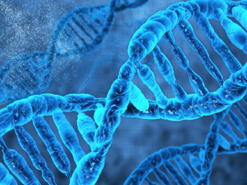 Steatoepatite non alcolica (NASH): buoni risultati per ALN-HSD, un farmaco sperimentale che sfrutta la tecnologia dell'RNAi (interferenza dell' RNA)