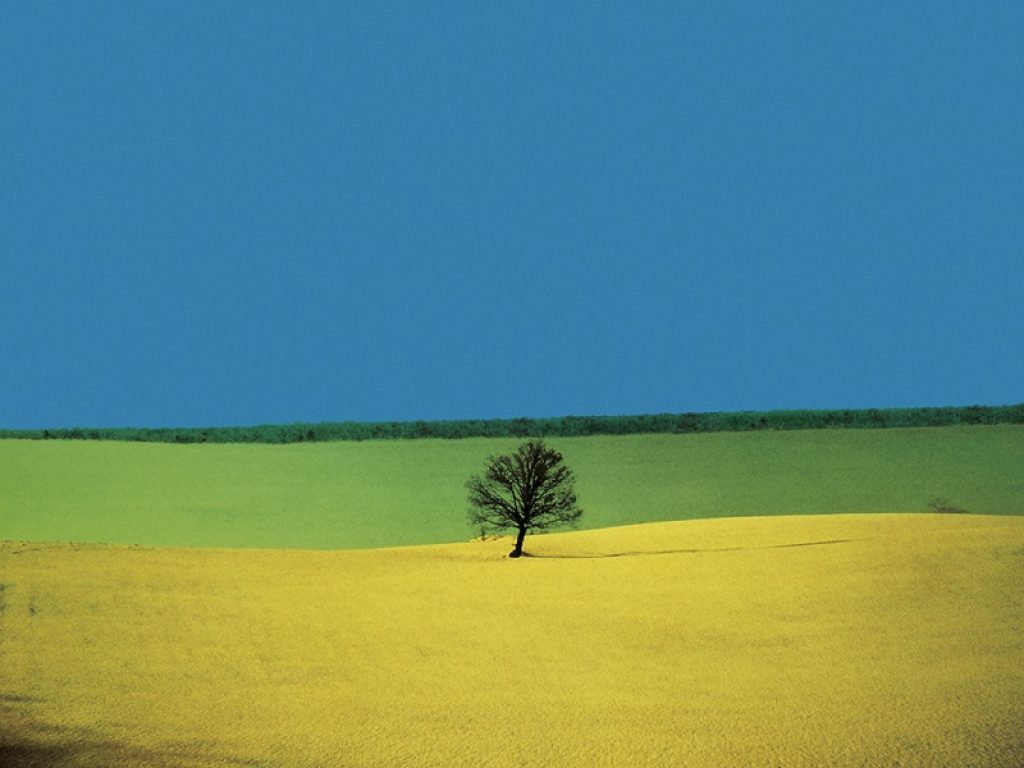 Forte di Belvedere mostre