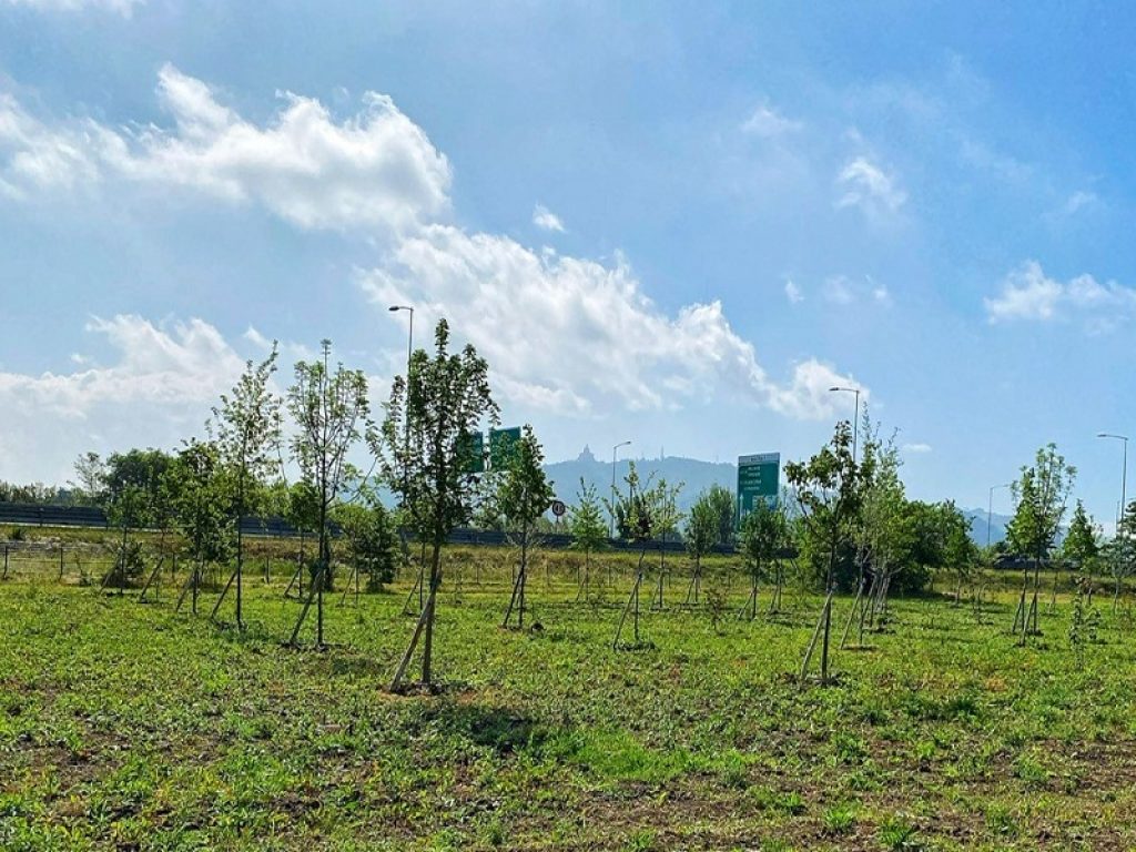 nuovo bosco casteldebole