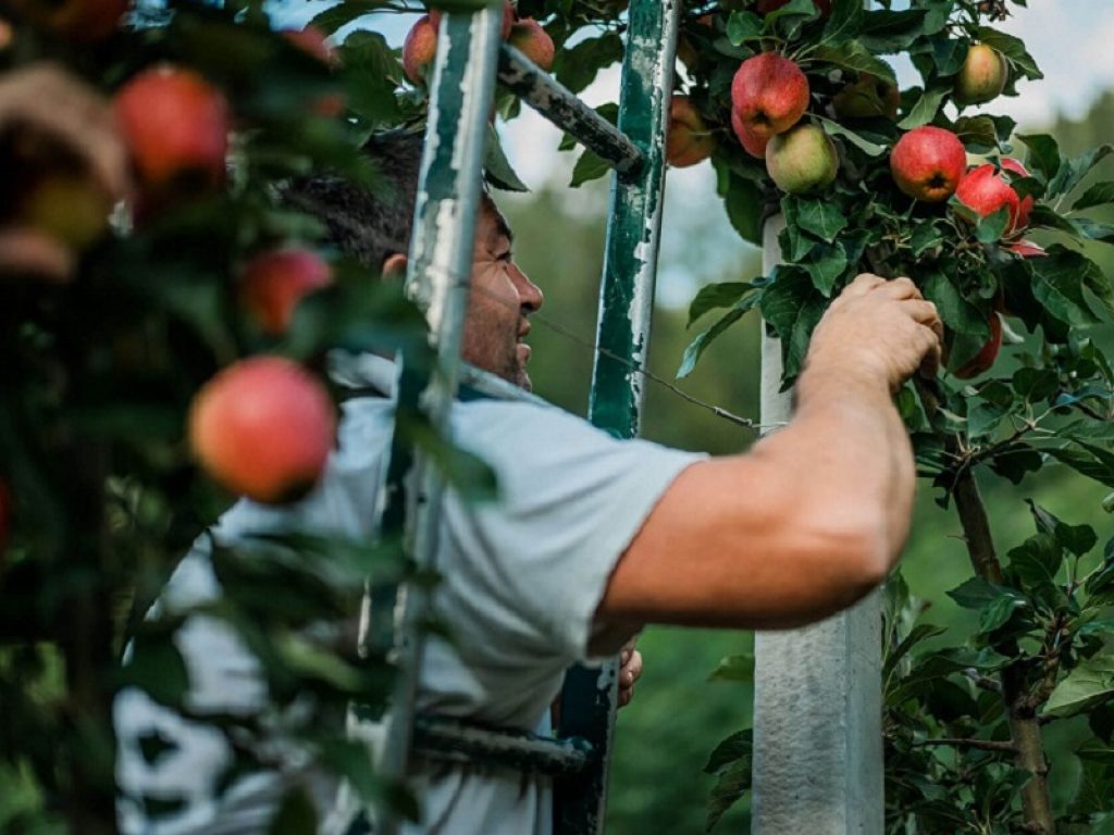 braccianti stranieri stagionali covid