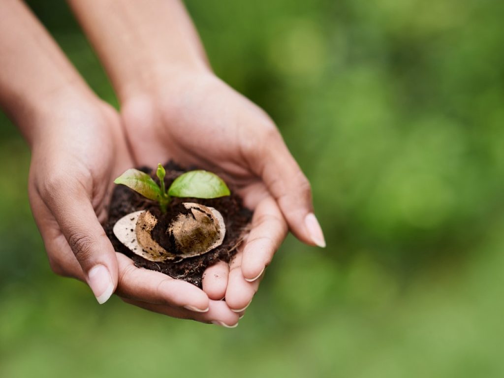 Cialda e incarto di Caffè Borbone ora sono riciclabili