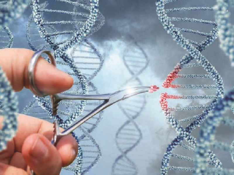 Sma: potenziali benefici di nusinersen nei neonati e nei bambini dopo il trattamento con la terapia genica secondo un nuovo studio