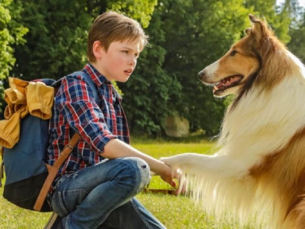 lassie film