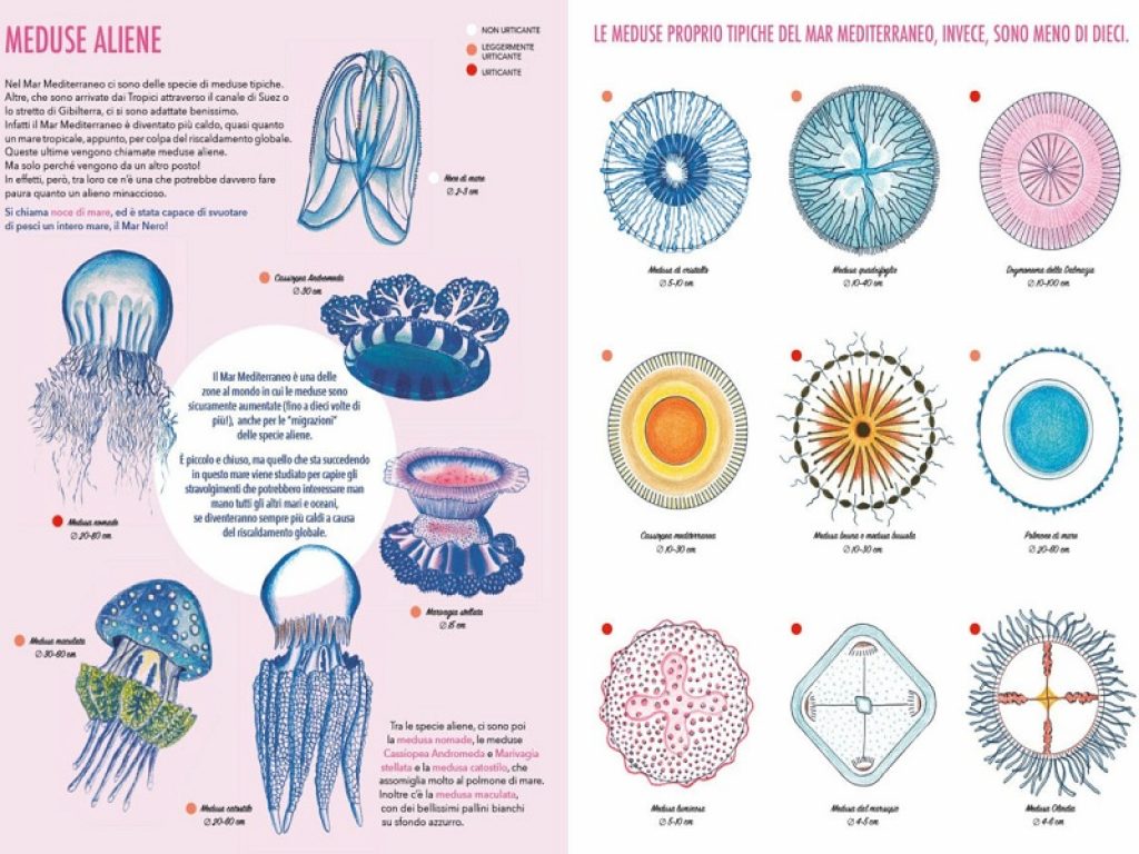 Il giardino delle meduse